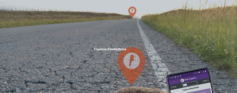 CIENCIA FAUNA ATROPELLADA